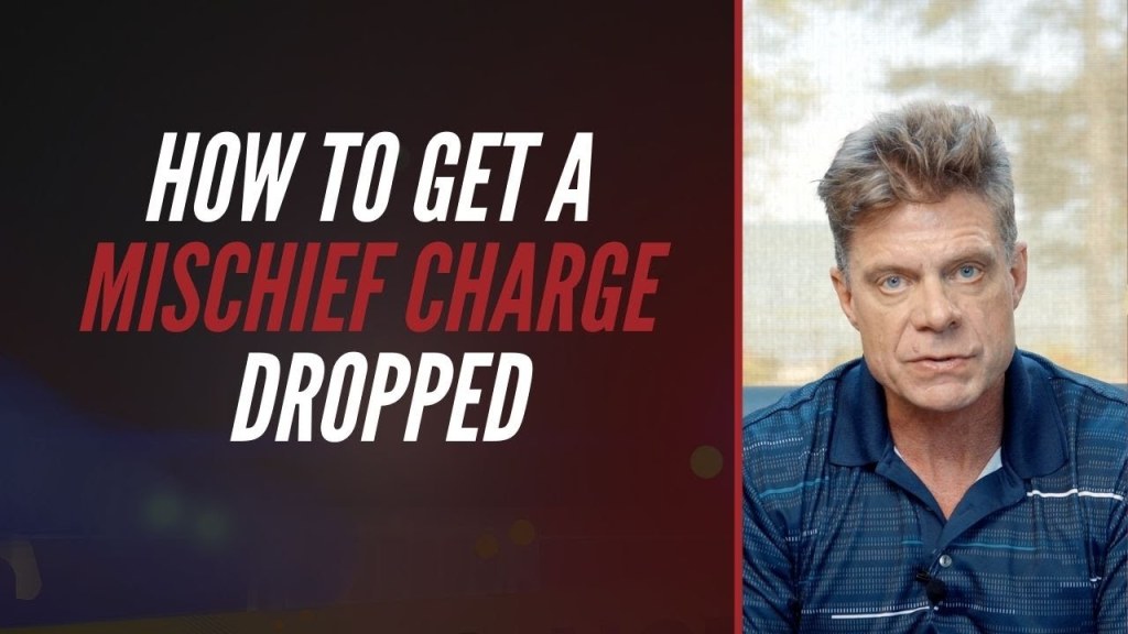 Picture of: How To Get A Mischief Charge Dropped